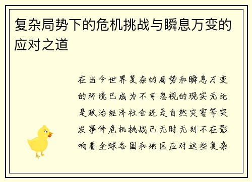 复杂局势下的危机挑战与瞬息万变的应对之道