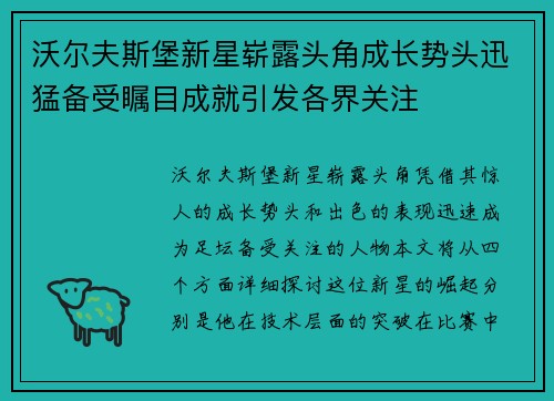 沃尔夫斯堡新星崭露头角成长势头迅猛备受瞩目成就引发各界关注